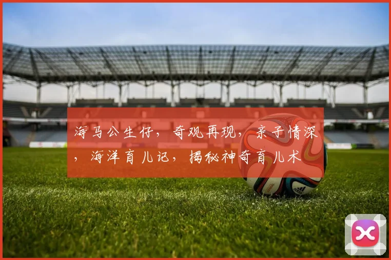 海马公生仔，奇观再现，亲子情深，海洋育儿记，揭秘神奇育儿术